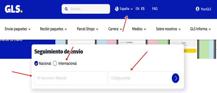 Tracking-Seite von GLS