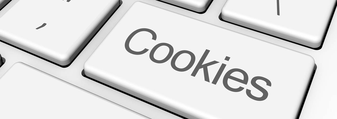 Politica di utilizzo dei cookie nel nostro negozio