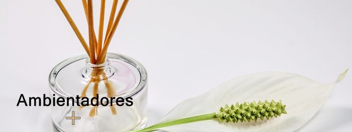 Ambientadores para el hogar y automóvil