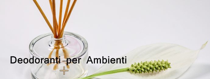 Deodoranti per la casa e l'auto